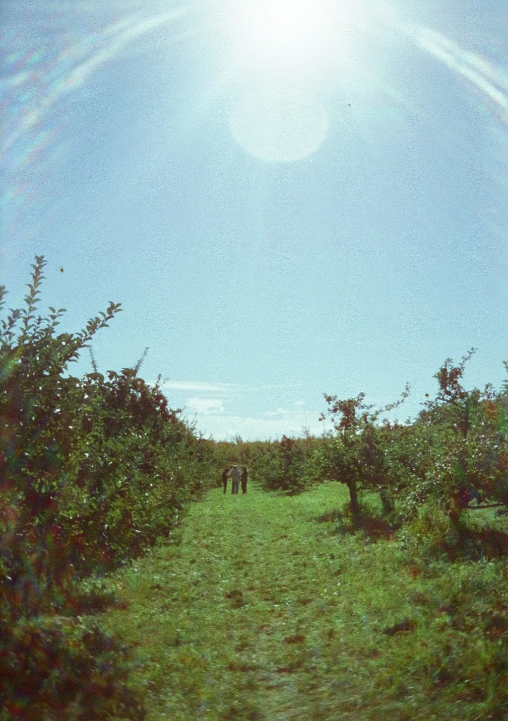 000033110023.jpg