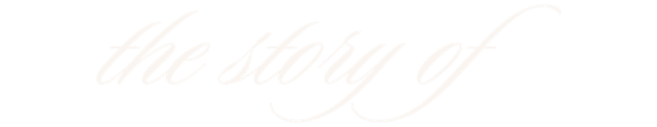 Text that says 'the story of' in white cursive font on a black background.