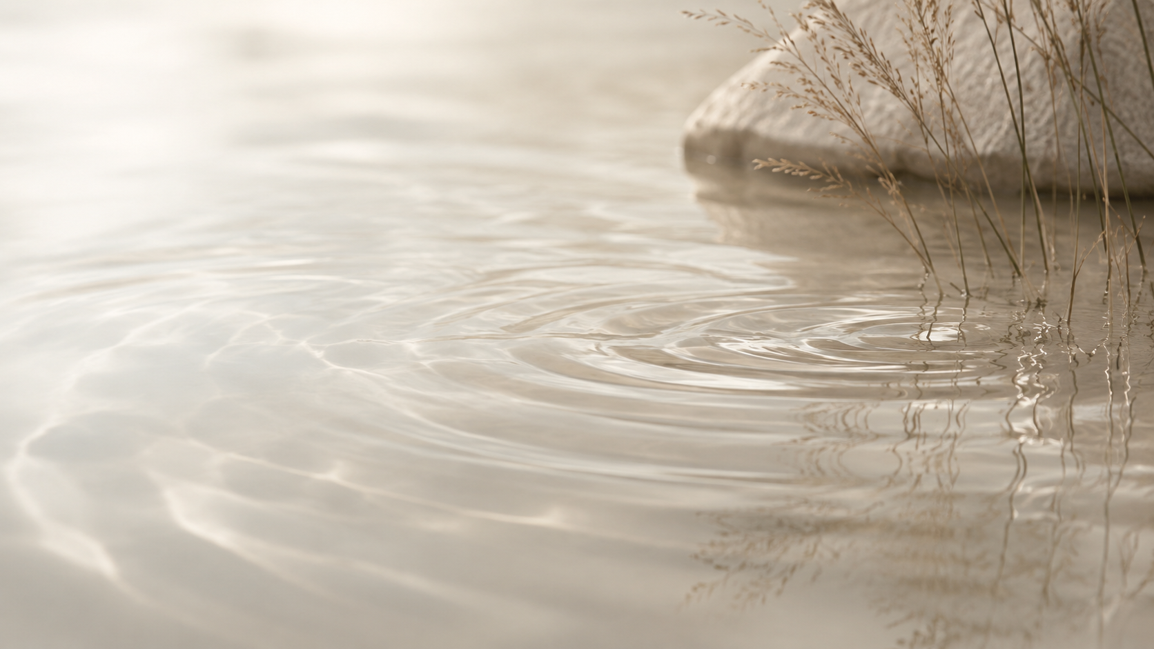 Close-up of a calm body of water with gentle ripples, a large rock on the shoreline, and tall dry grasses reflecting in the water.