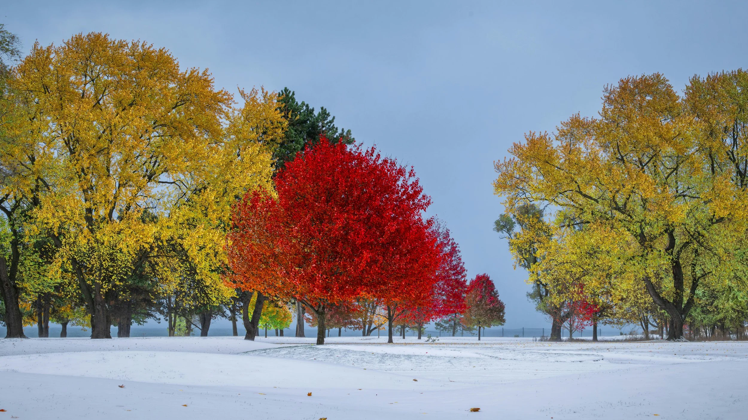How Idaho’s Four Seasons Affect Estate Sale Timing