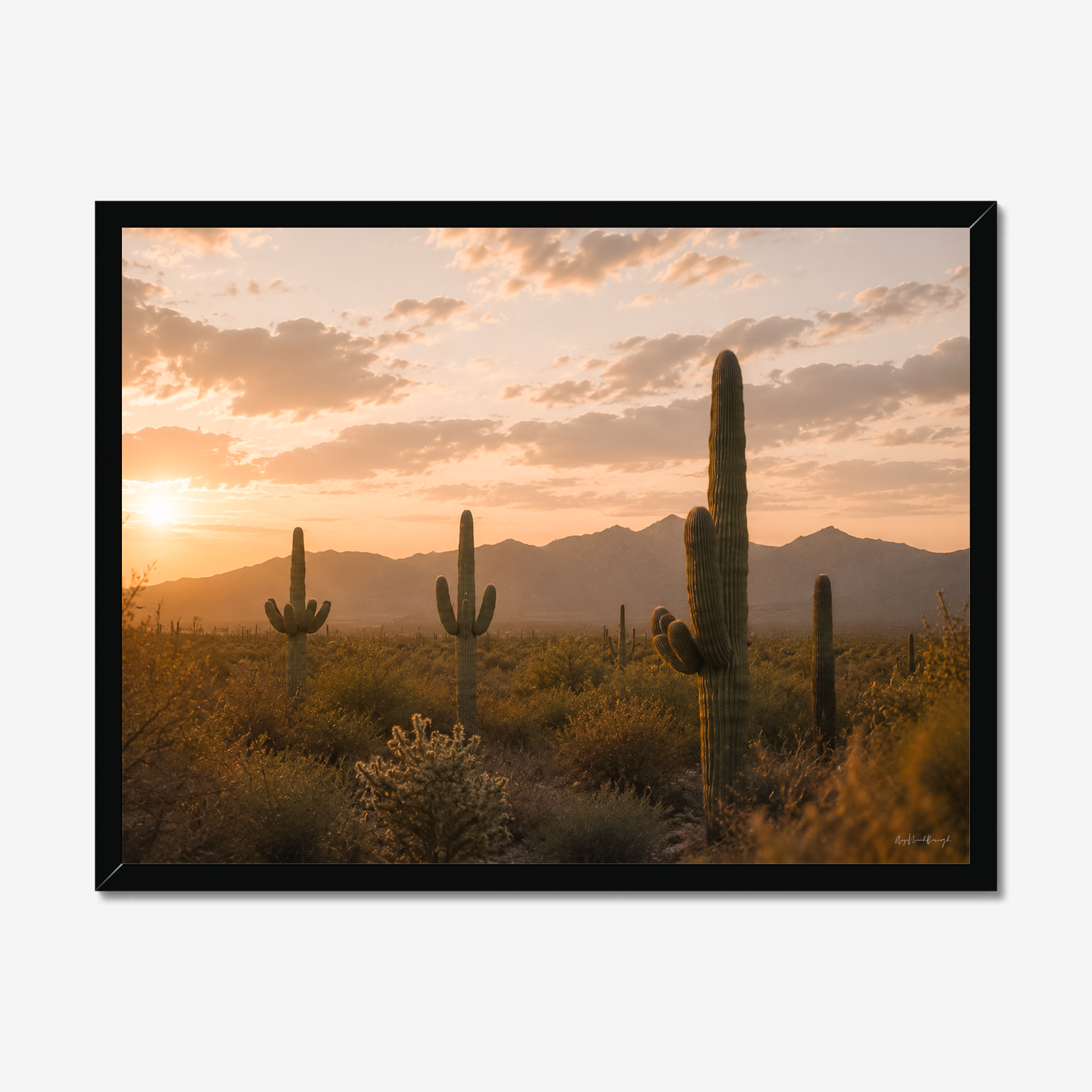 prodigi-global-cfp-24x18-black-frame.png
