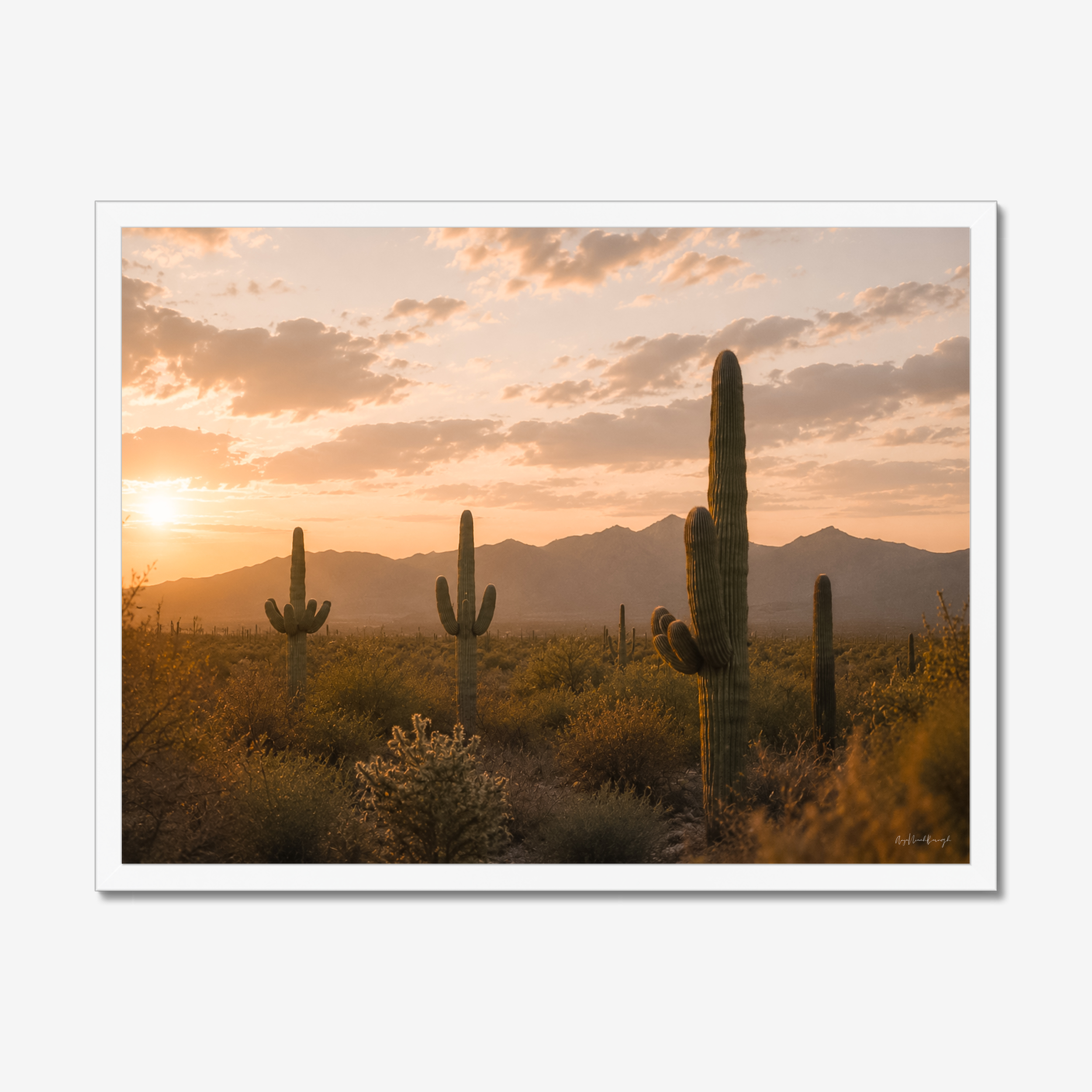 prodigi-global-cfp-24x18-white-frame.png