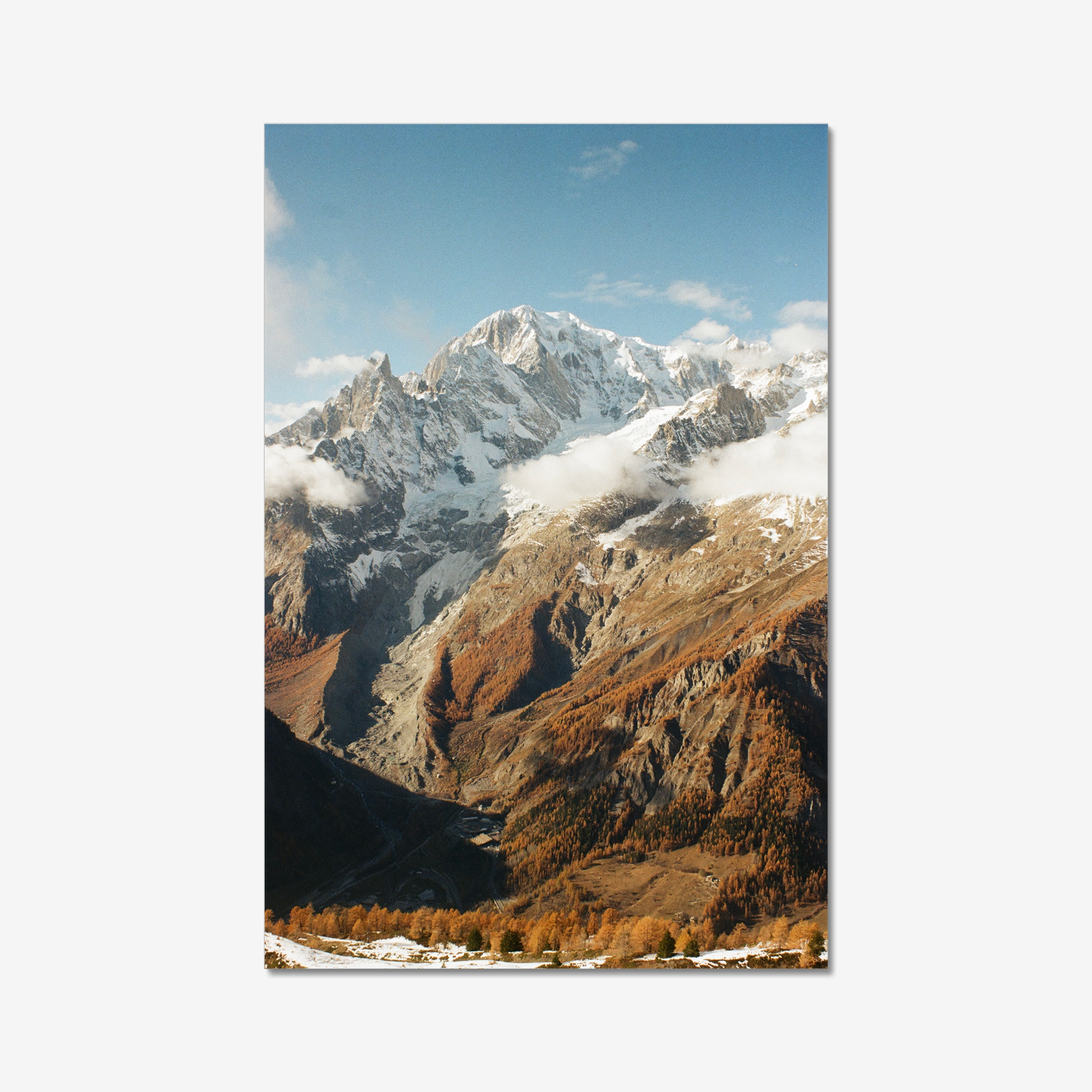 prodigi-global-fap-8x12 (2).png