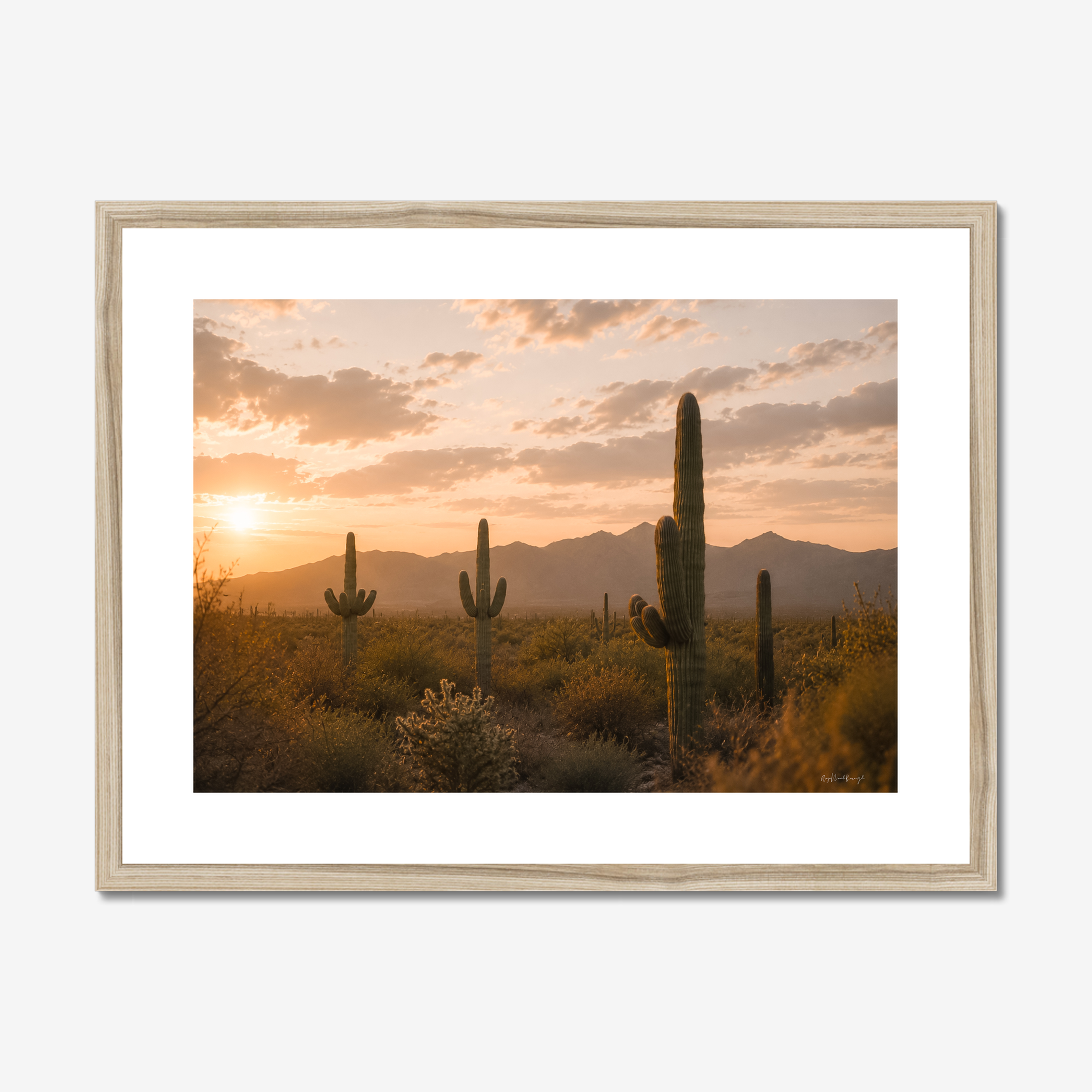prodigi-global-cfpm-24x18-natural-frame-snow-white-mount.png