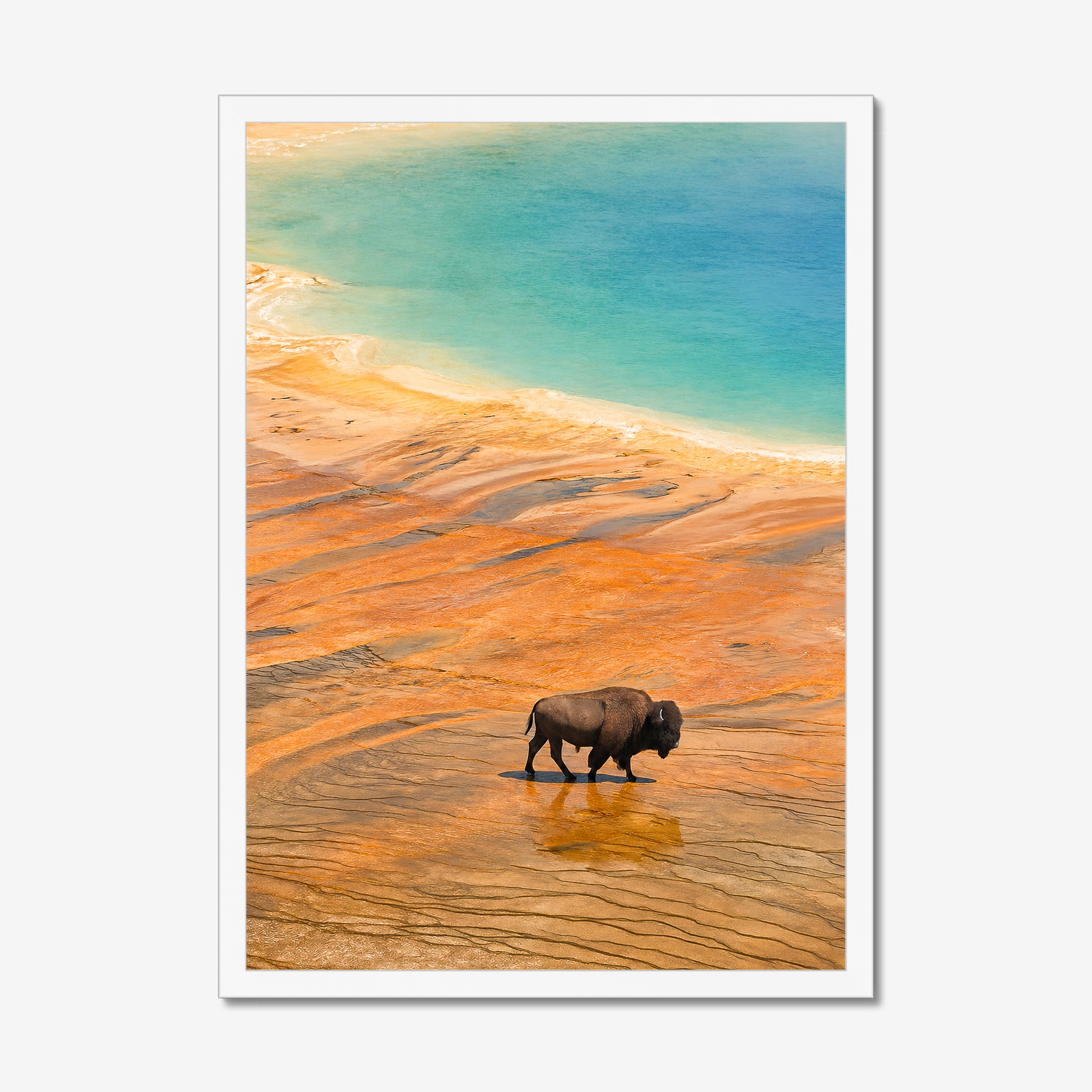 prodigi-global-cfp-a2-portrait-white-frame (2).png