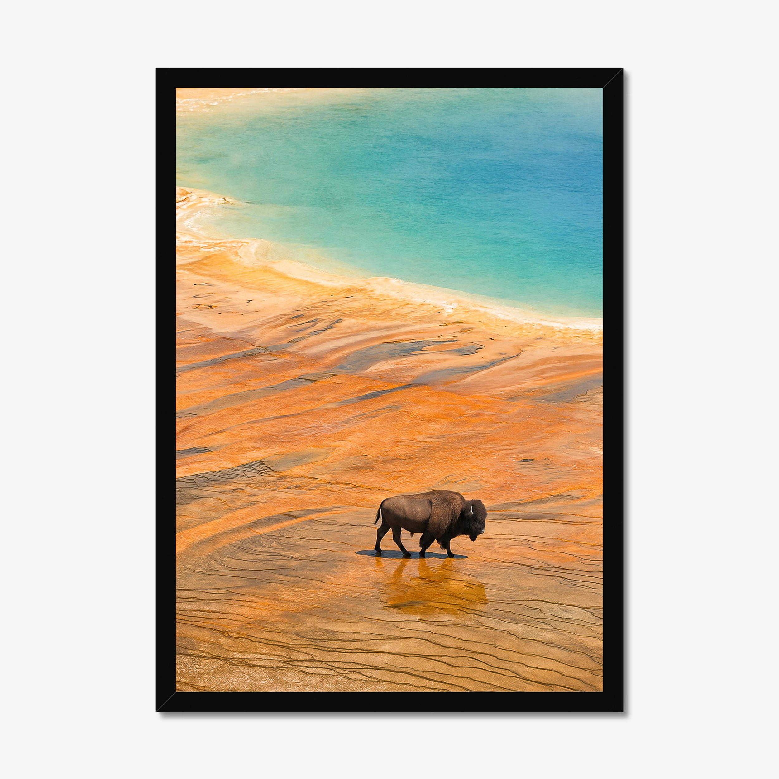 prodigi-global-cfp-a2-portrait-black-frame (2).png