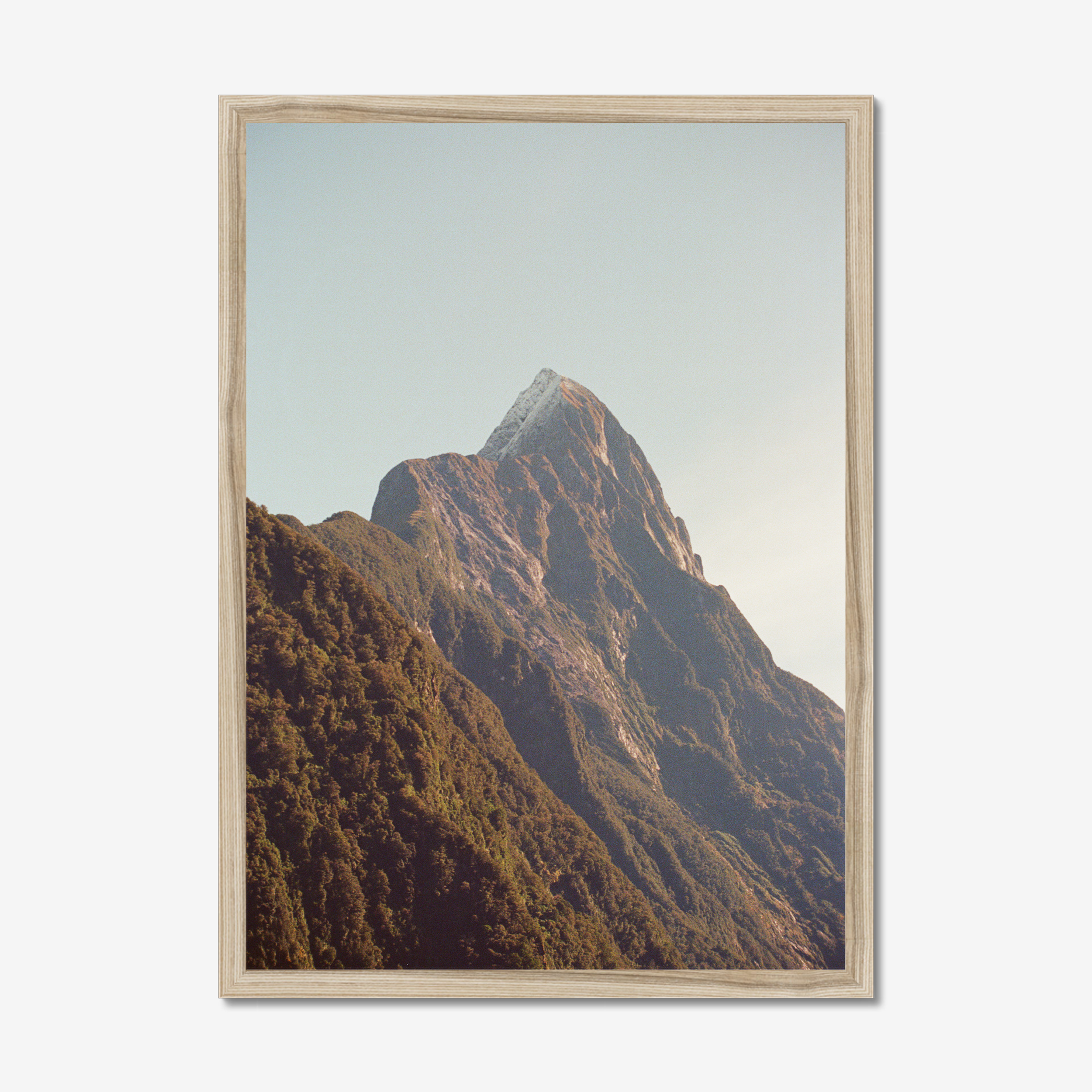 prodigi-global-cfp-a2-portrait-natural-frame (3).png