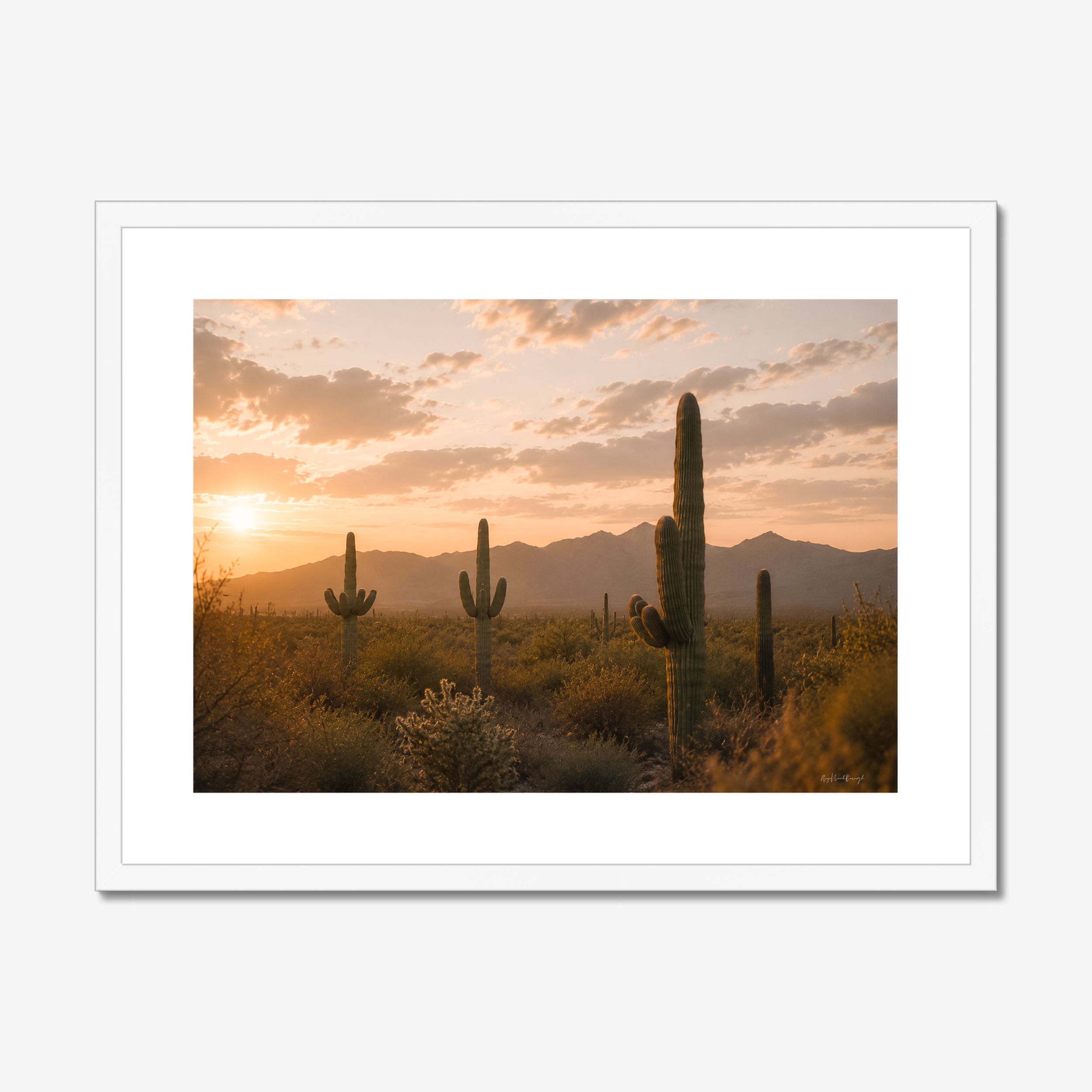 prodigi-global-cfpm-24x18-white-frame-snow-white-mount.png