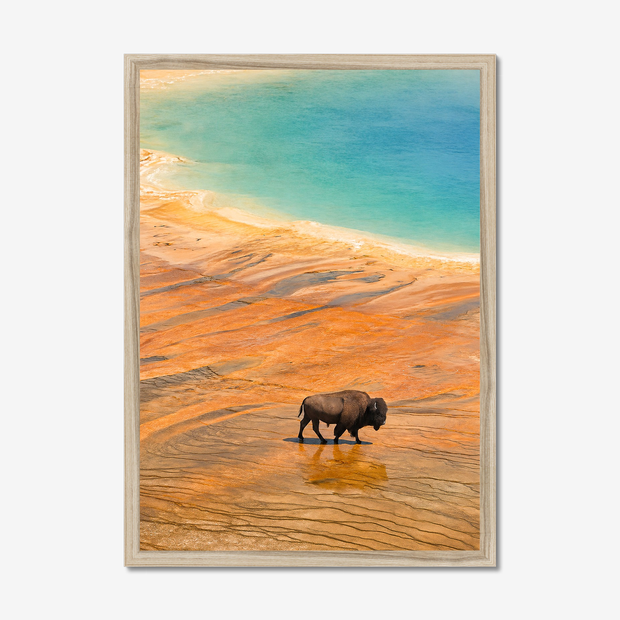 prodigi-global-cfp-a2-portrait-natural-frame (2).png
