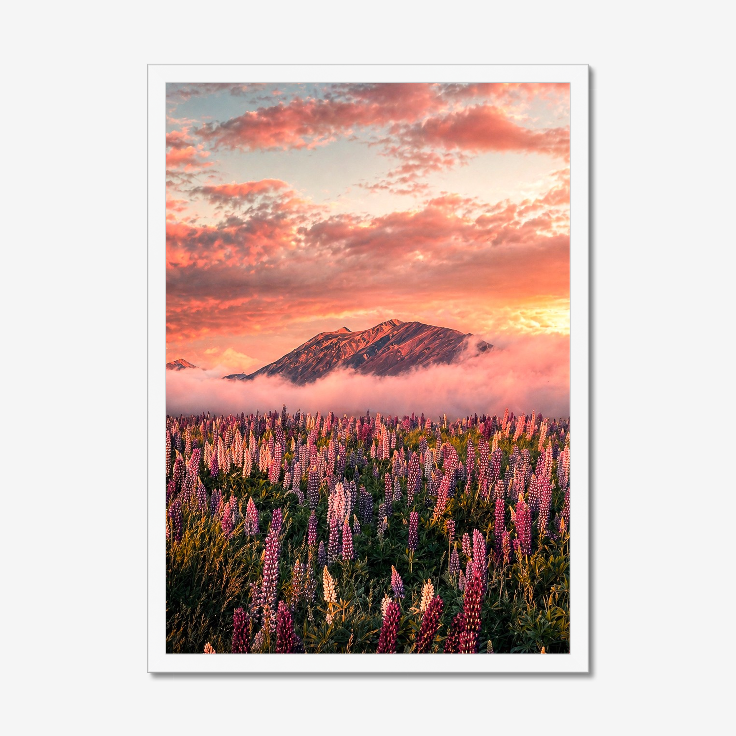 prodigi-global-cfp-a2-portrait-white-frame.png