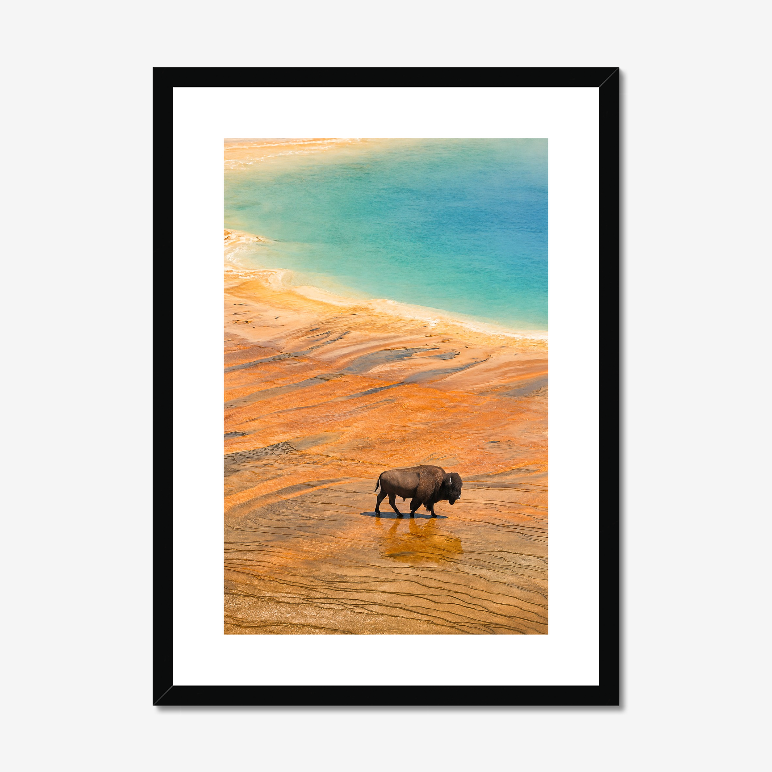 prodigi-global-cfpm-a2-portrait-black-frame-snow-white-mount (2).png