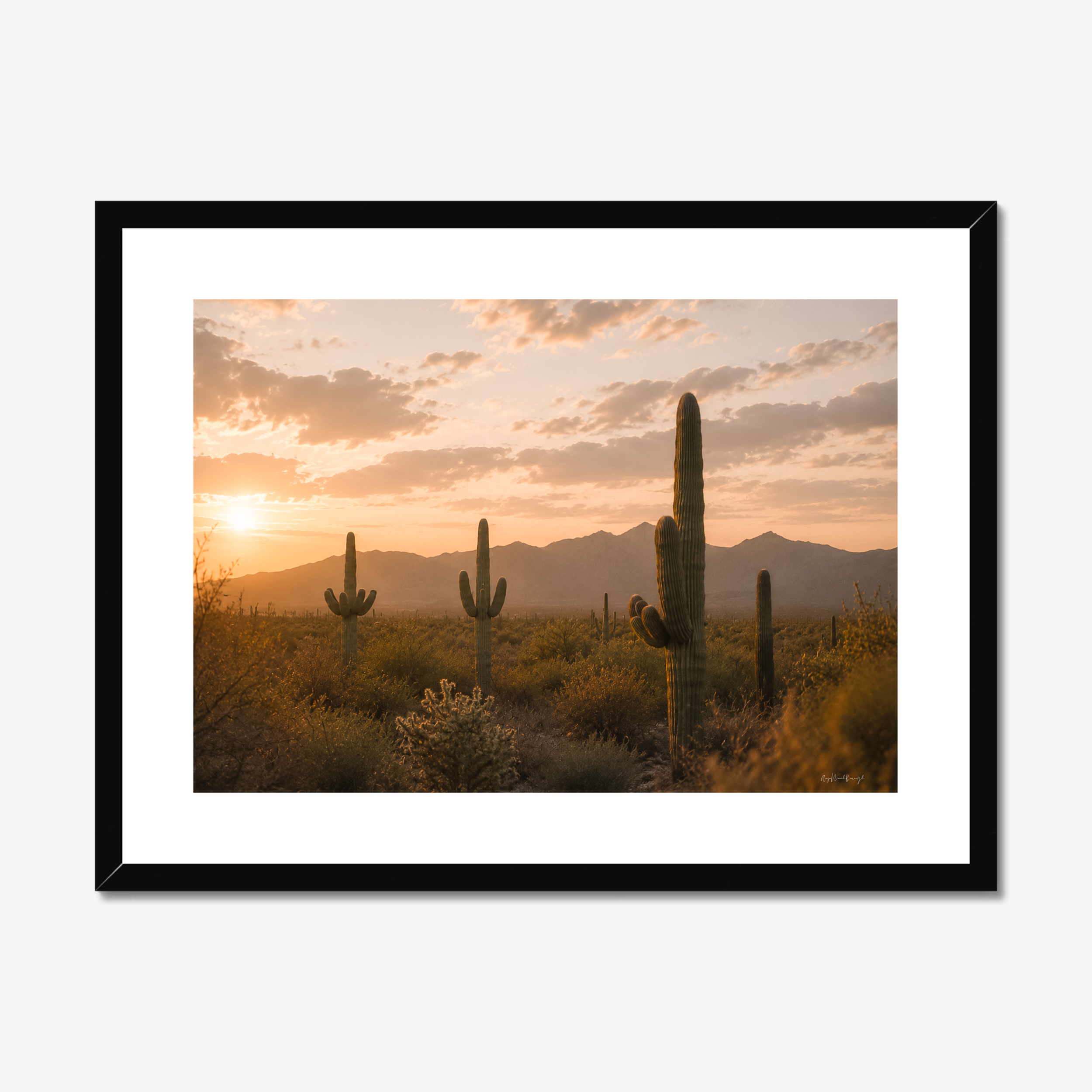 prodigi-global-cfpm-24x18-black-frame-snow-white-mount.png