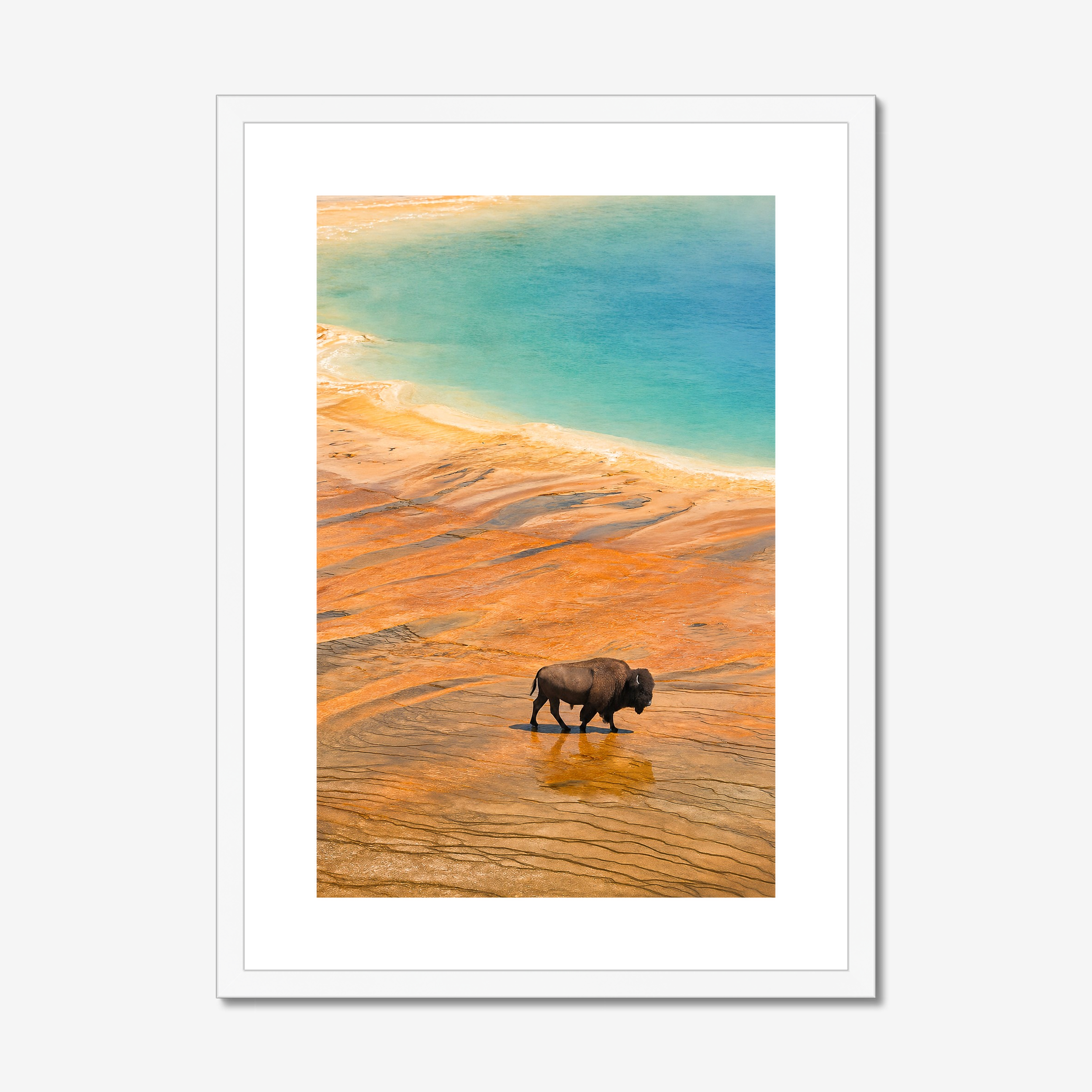 prodigi-global-cfpm-a2-portrait-white-frame-snow-white-mount (3).png
