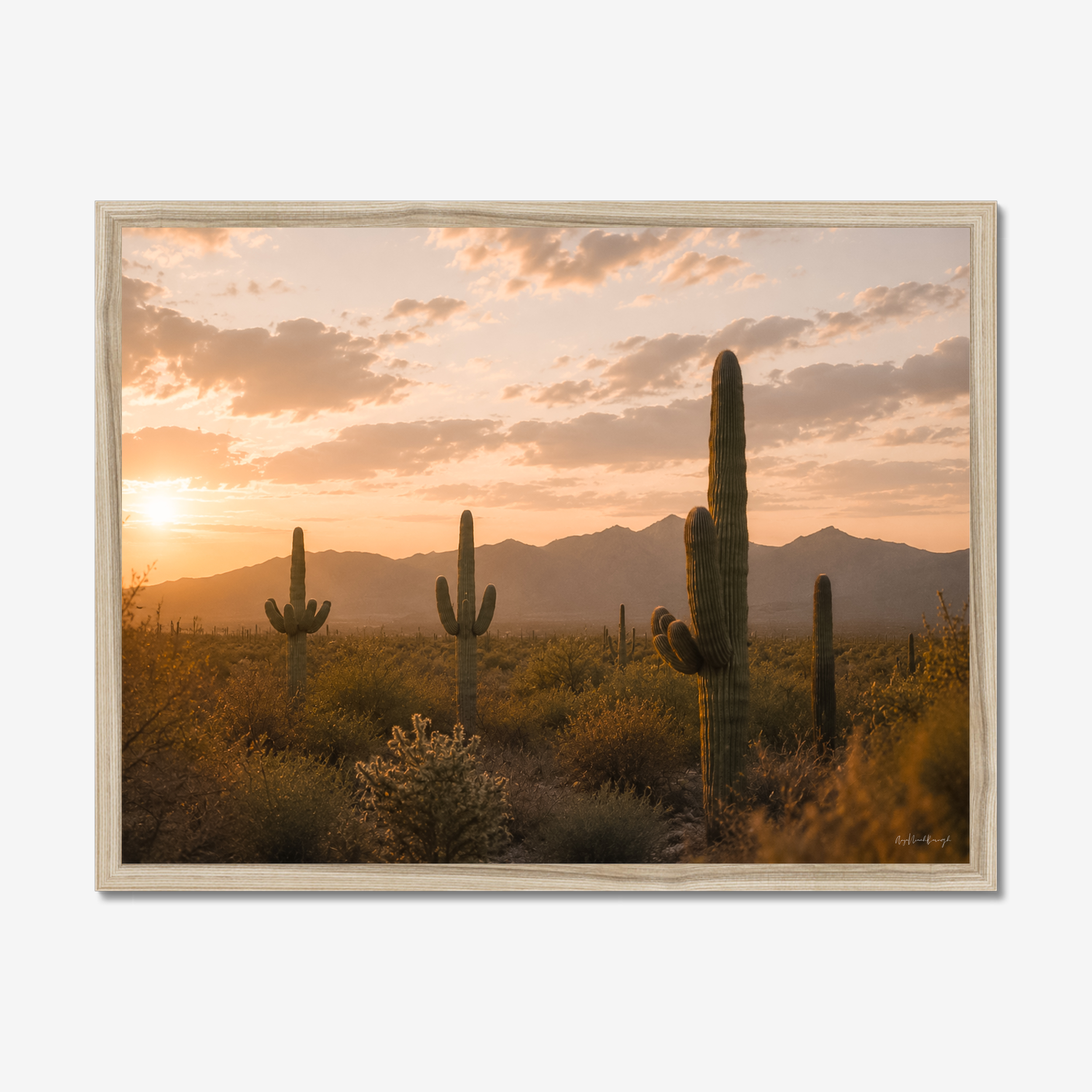 prodigi-global-cfp-24x18-natural-frame.png