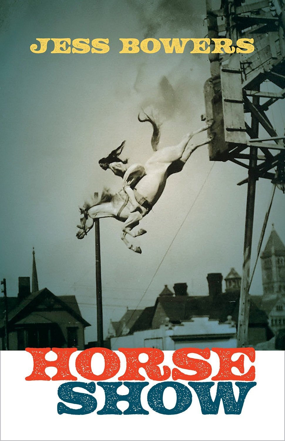 Book cover shows a long haired woman bareback on a white horse leaping into the air.