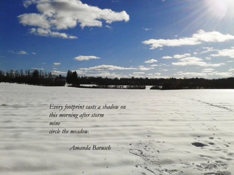 A snow-covered field with a fresh set of footprints.