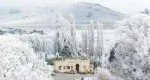A small house, part of the charming Kiwi homes, is surrounded by snow-covered trees and a landscape with a mountain in the background. Everything is blanketed in wintery white.