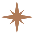 A brown, geometric star-like symbol on a black background.