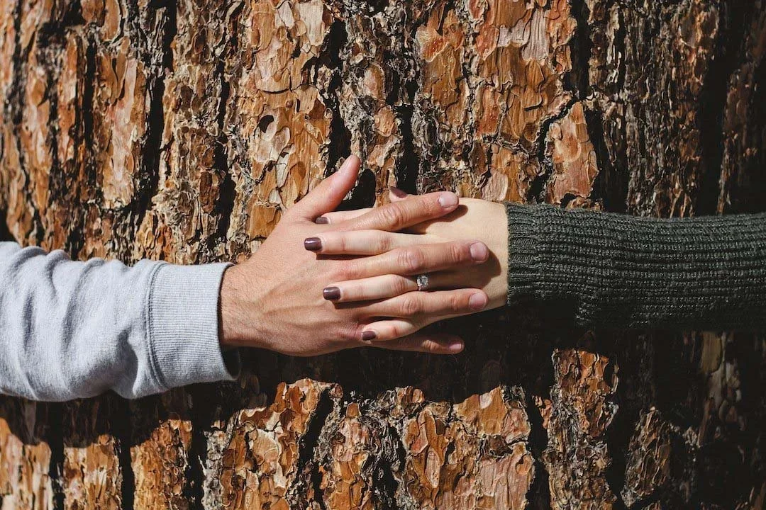 Promises, Wishes, and Koans (for Nathan and Sarah on their wedding day)