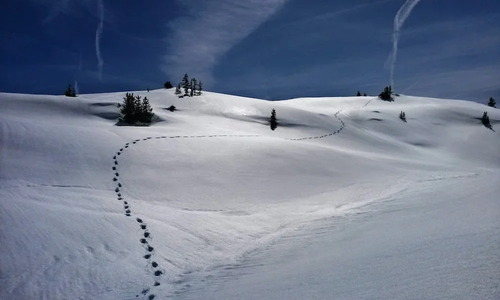 Every footprint casts a shadow