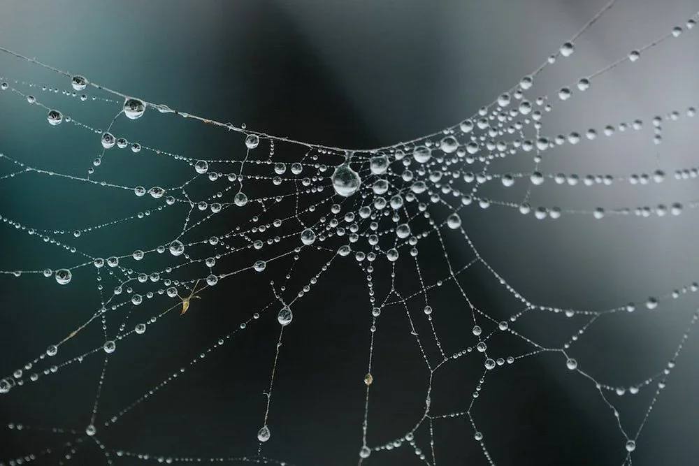 Interstices