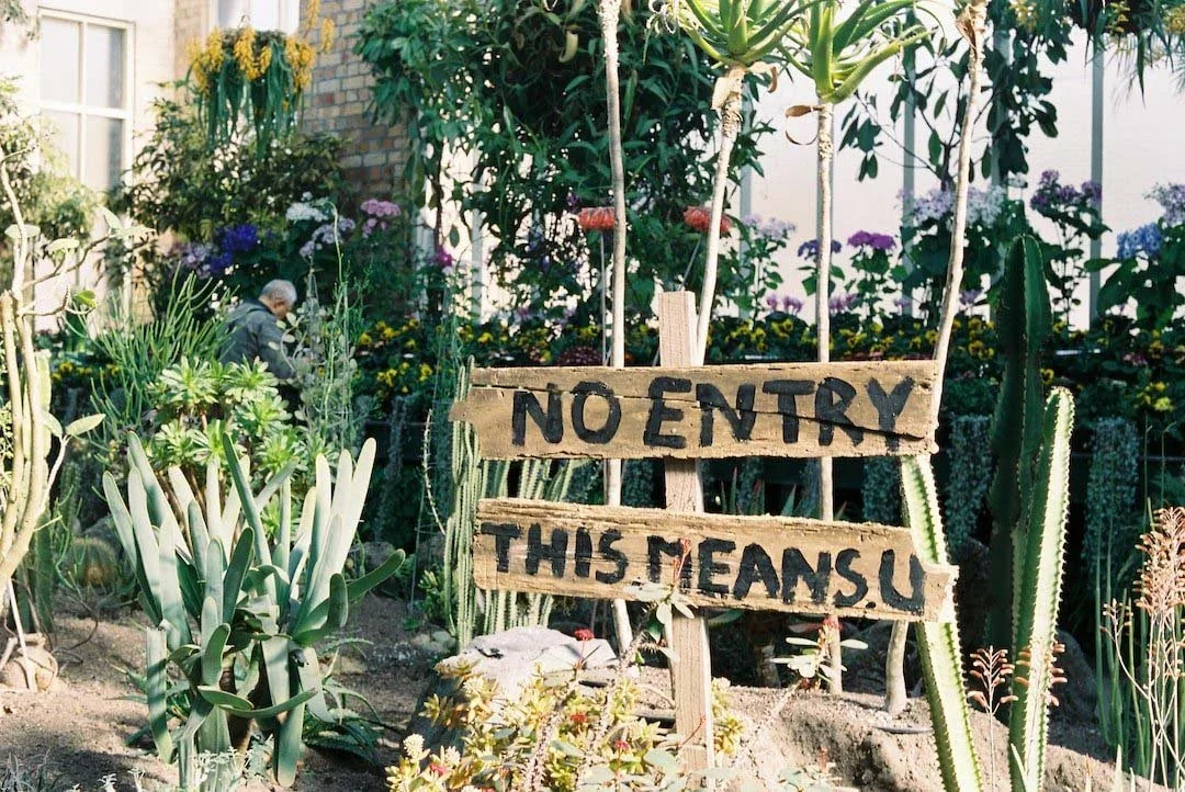 Upside Down Immigration Blues