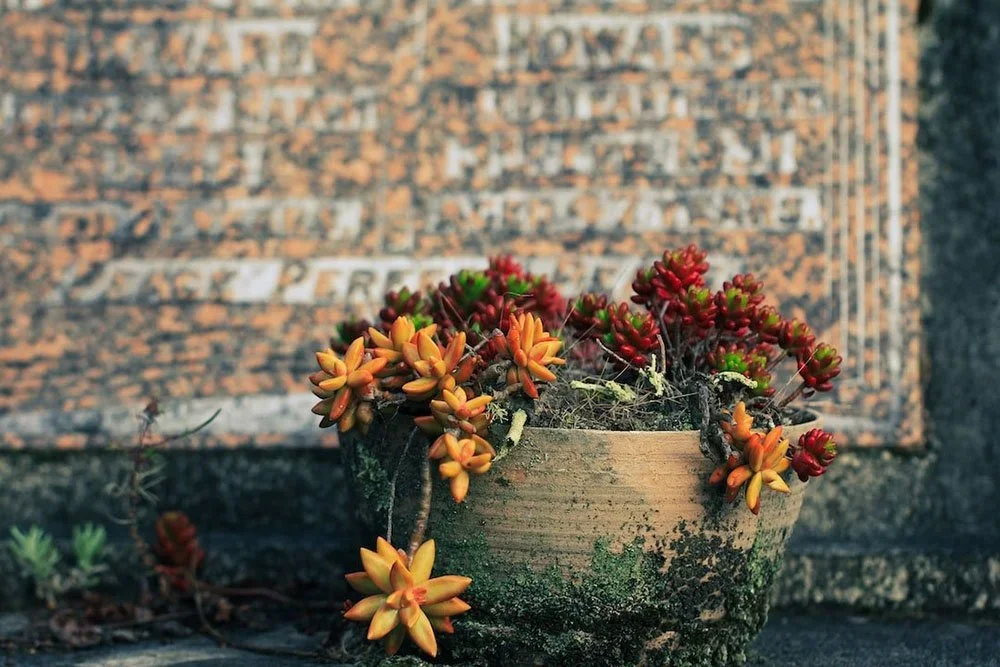 Death and Funerals