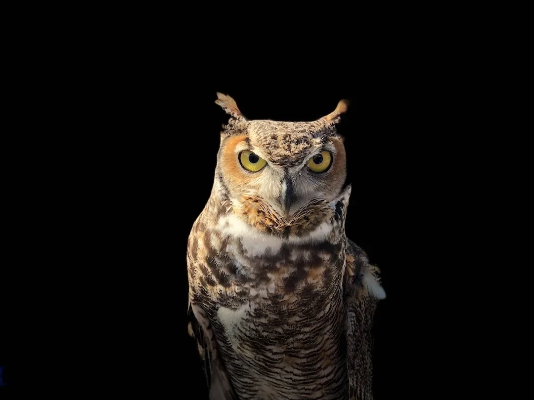 The Wisdom of Anger