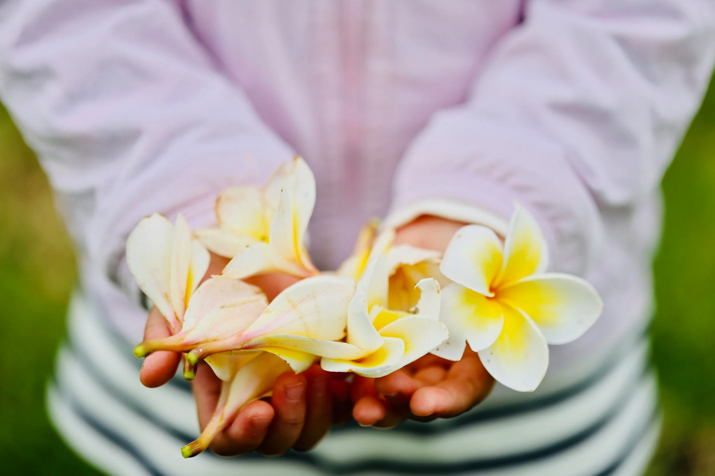 Child hands holding flowers