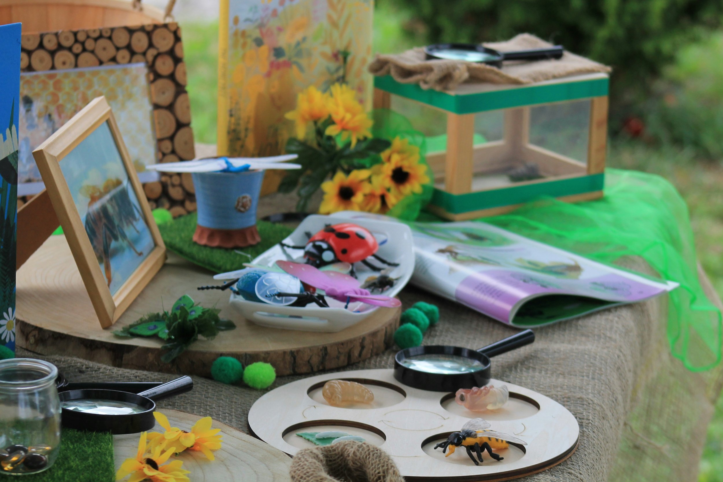 Nature exploration play space