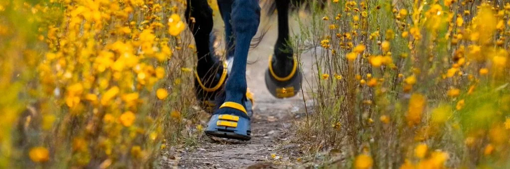 Close-up of a person running on a trail through yellow wildflowers, wearing black shoes with yellow accents.