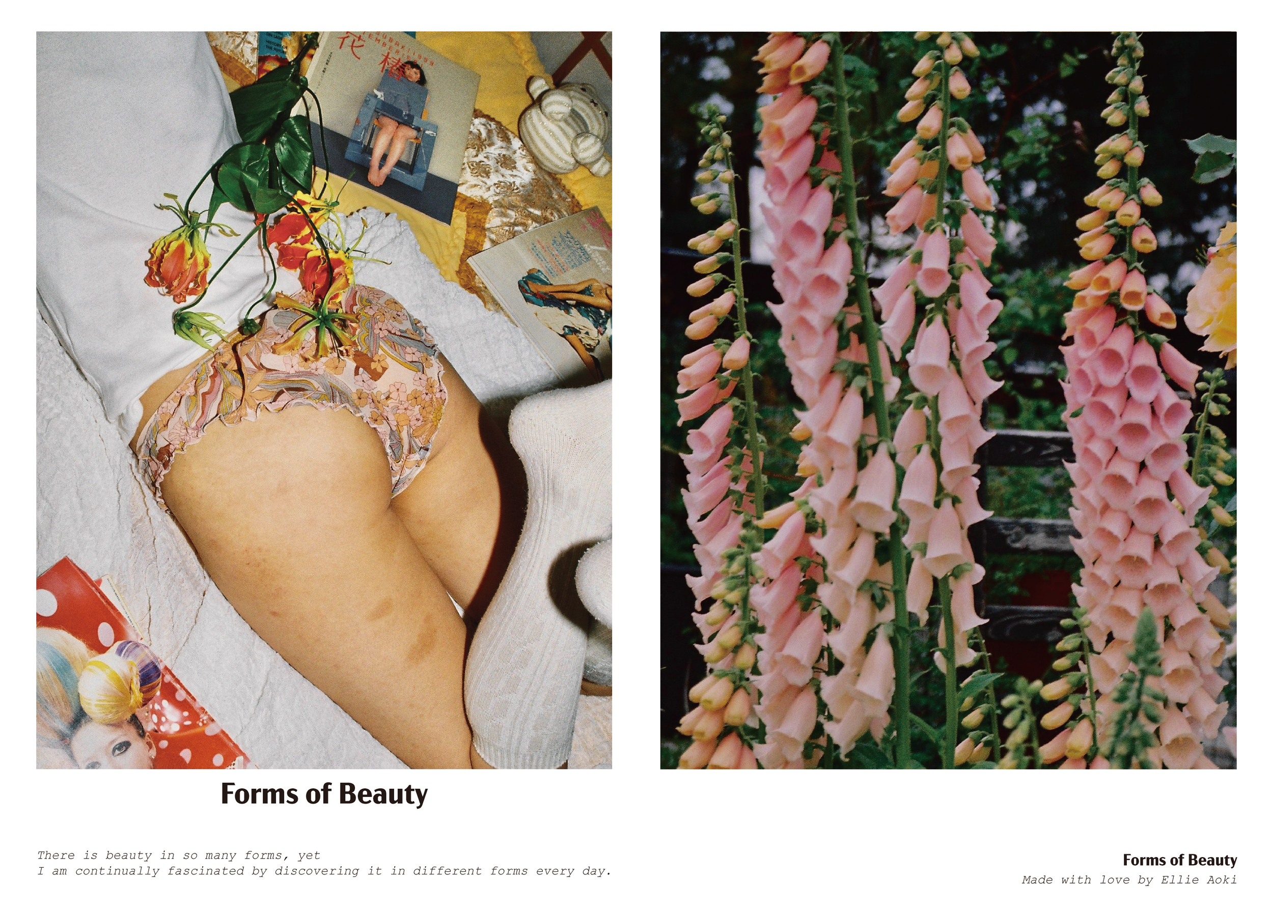 Zine Forms of Beauty-01.PNG