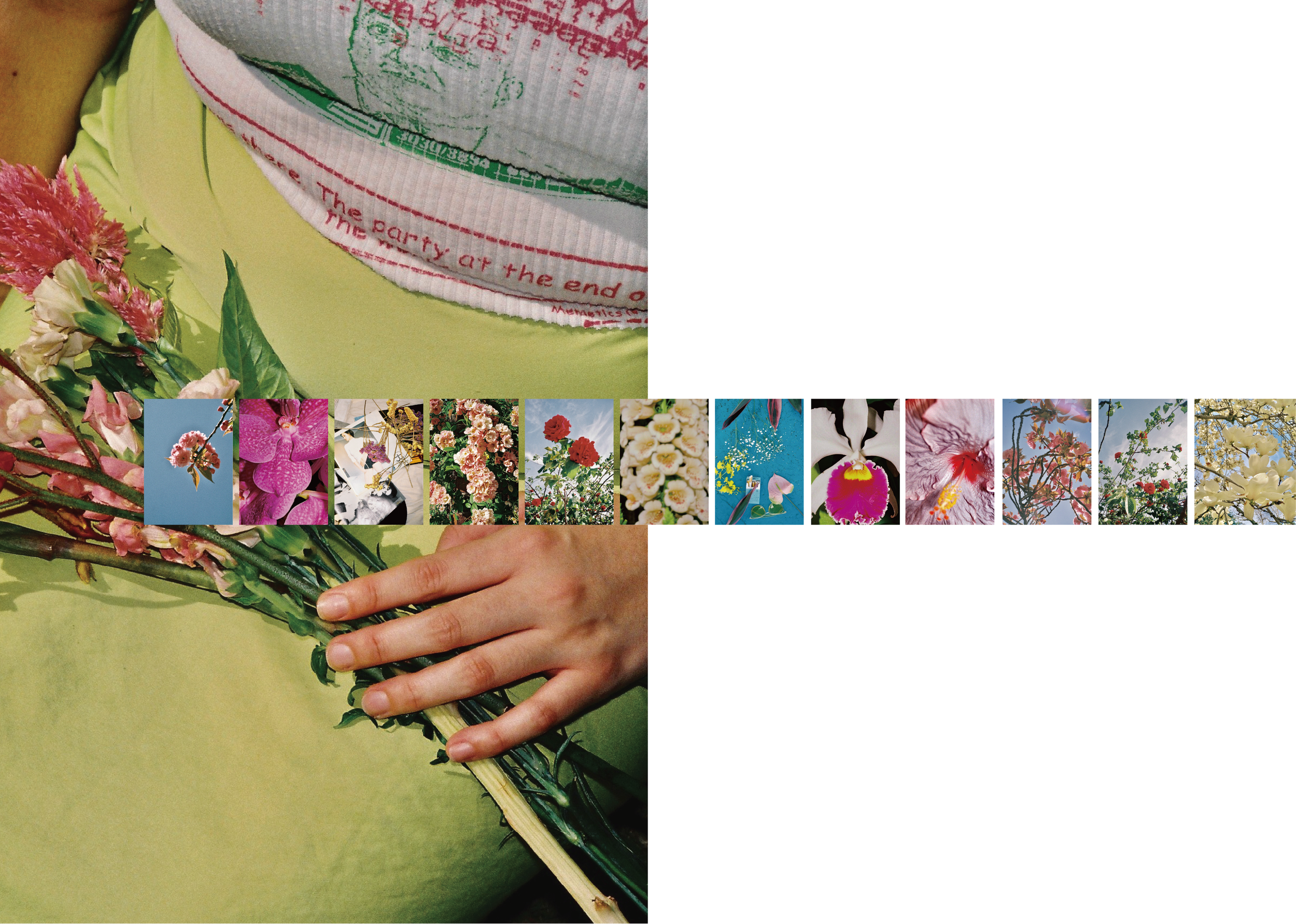 Zine Forms of Beauty-10.PNG