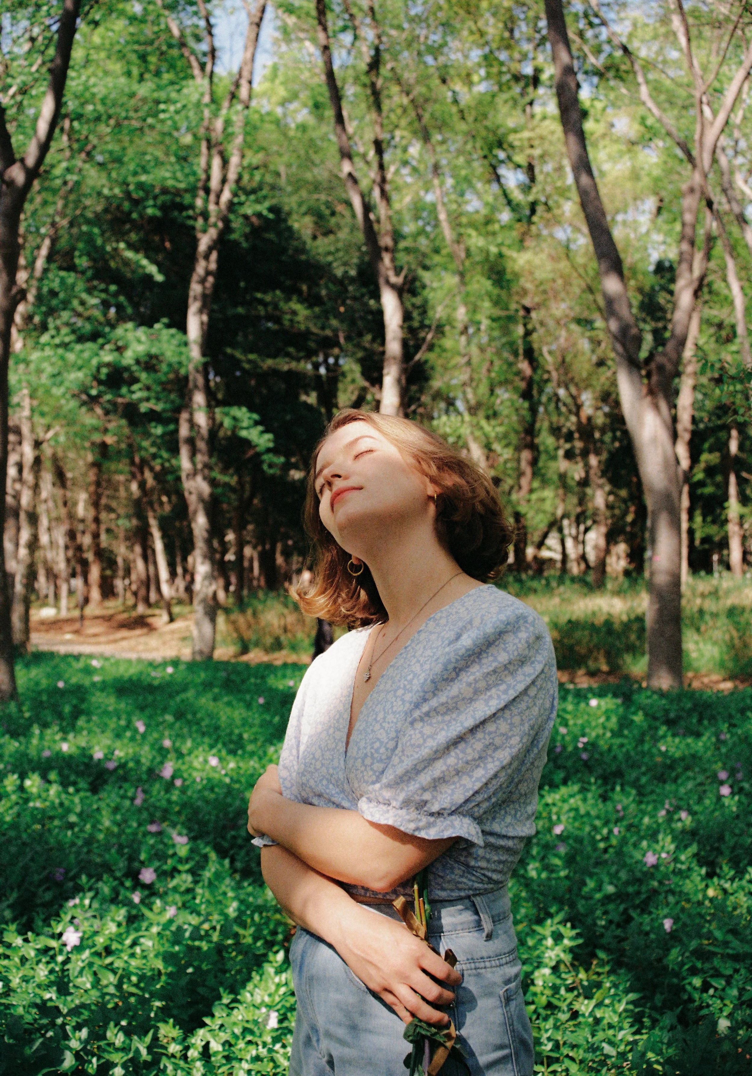 Forest-3.jpg