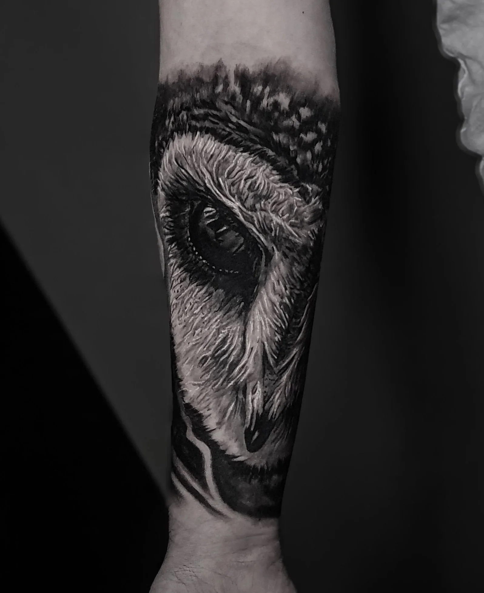 A black and white tattoo of an owl on a person's arm.