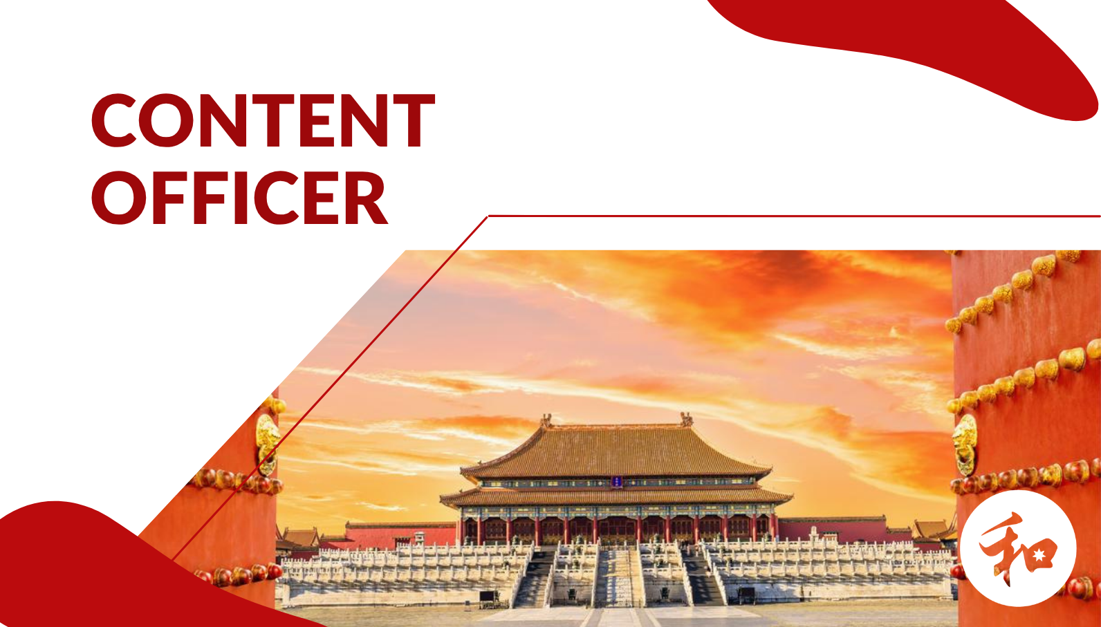 ACELS Content Officer