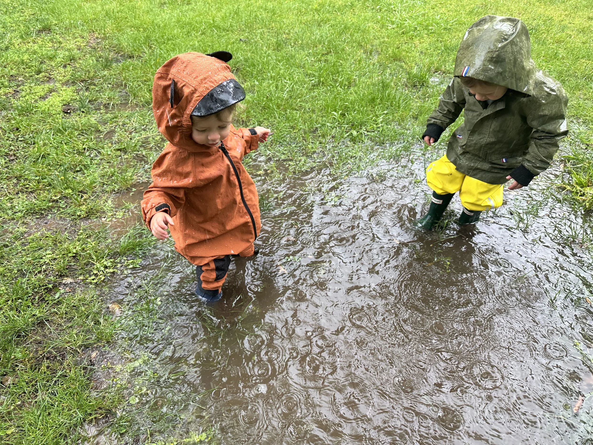 Two preschoolers in rain gear are walking through a muddy puddle on grass, wearing rain jackets and boots enjoying a slow childhood in West Sonoma County.