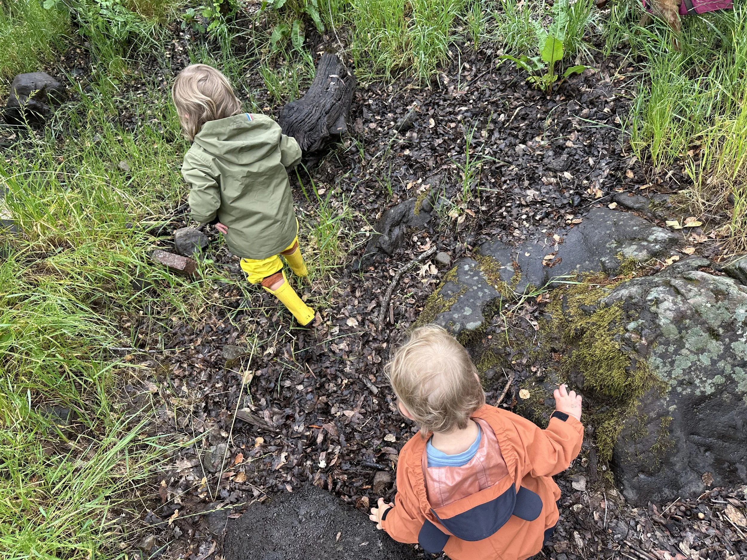 Nature immersion with two preschoolers near a patch forest floor with rocks, grass, and moss in Sebastopol, CA.