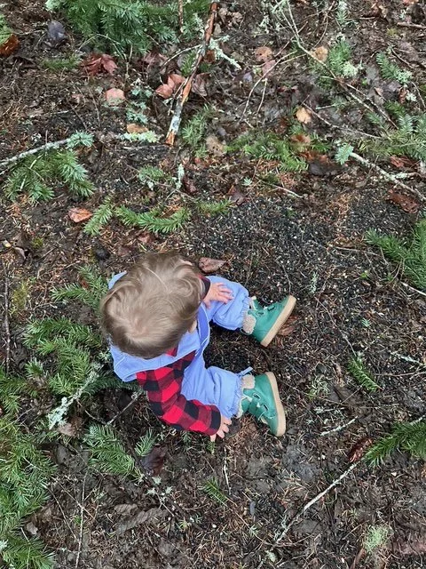 Forest preschooler with blonde hair in a plaid and blue outfit enjoying nature immersion in West Sonoma County, CA.