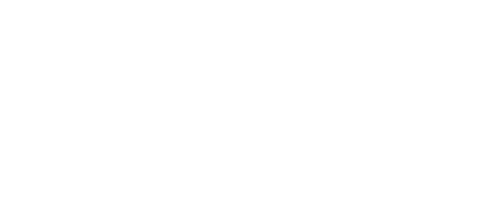 Pura Vida Legacy Logo