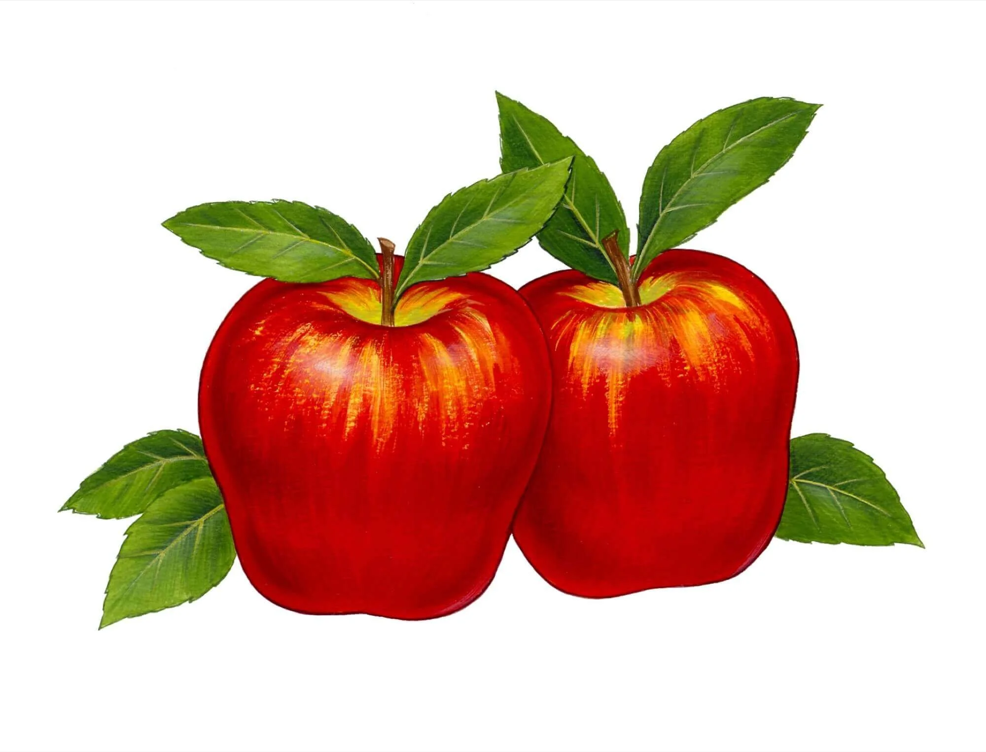 NATURE-Apples-Resized.jpg
