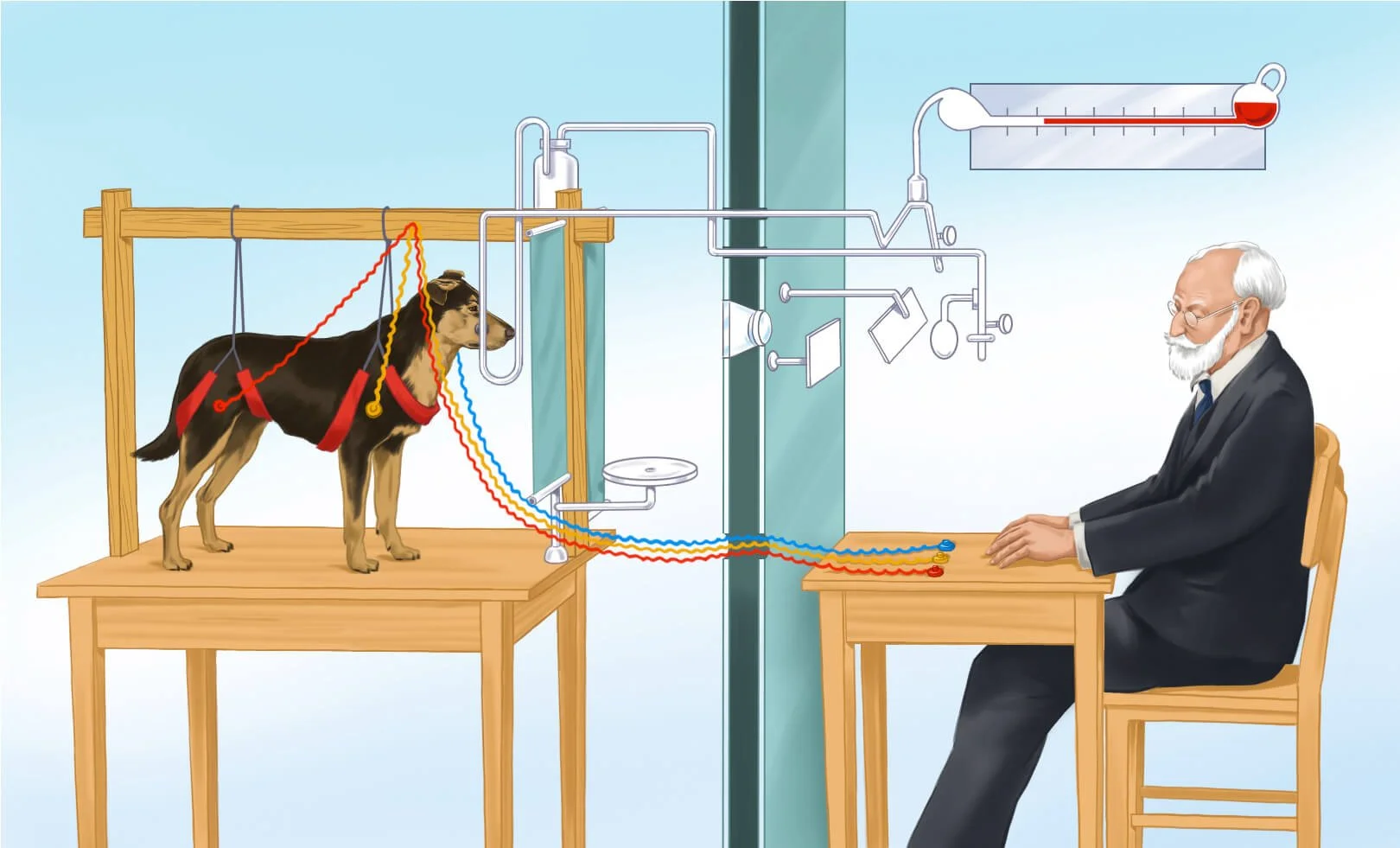 Pavlov-dog-laboratory.jpg