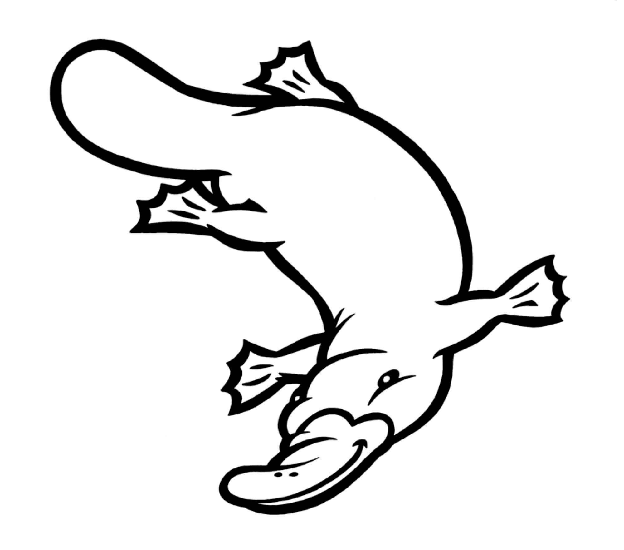 CARTOON-Platypus-Resized.jpg