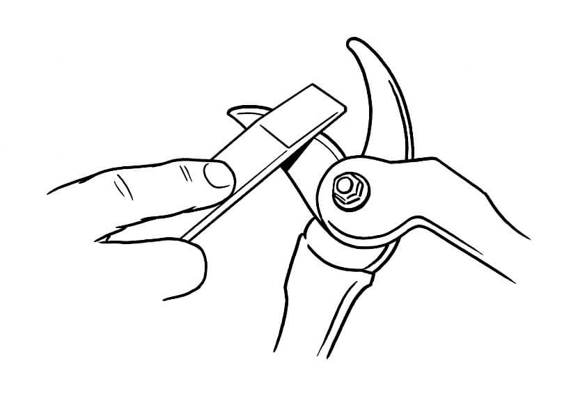 TECHNICAL-LINE-Sharpening-pruning-shears.jpg