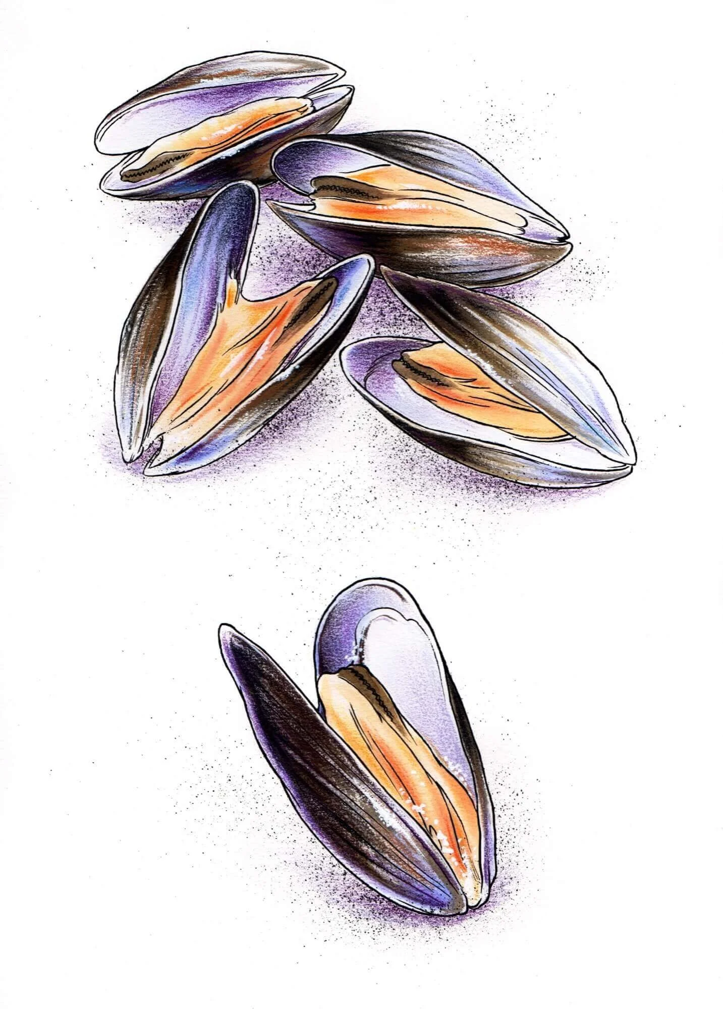 NATURE-Mussels-Resized.jpg