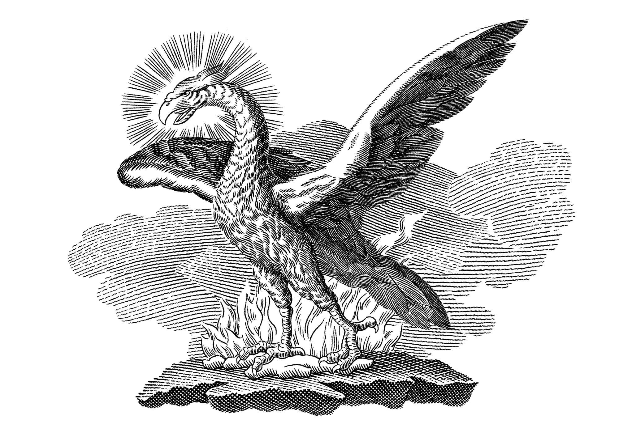 Penley-Estate-Phoenix.jpg