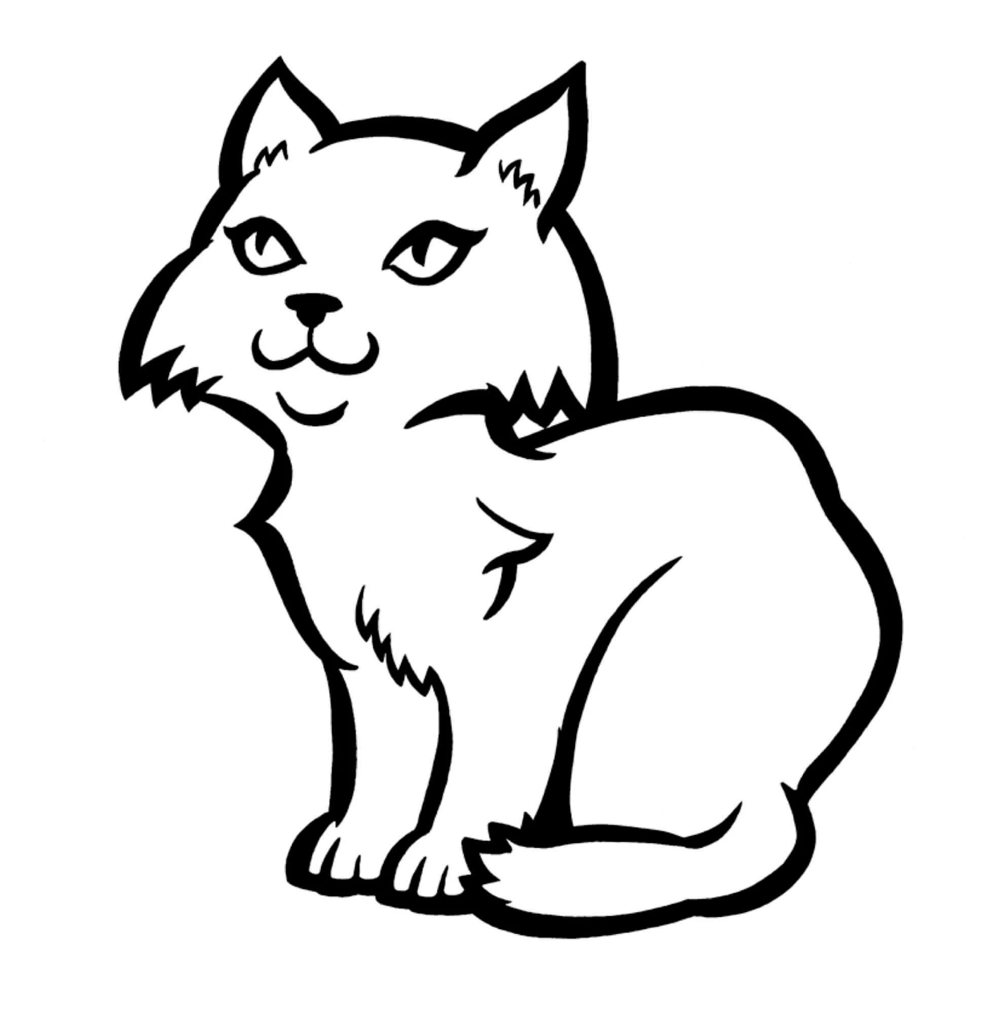 CARTOON-Cat-Resized.jpg