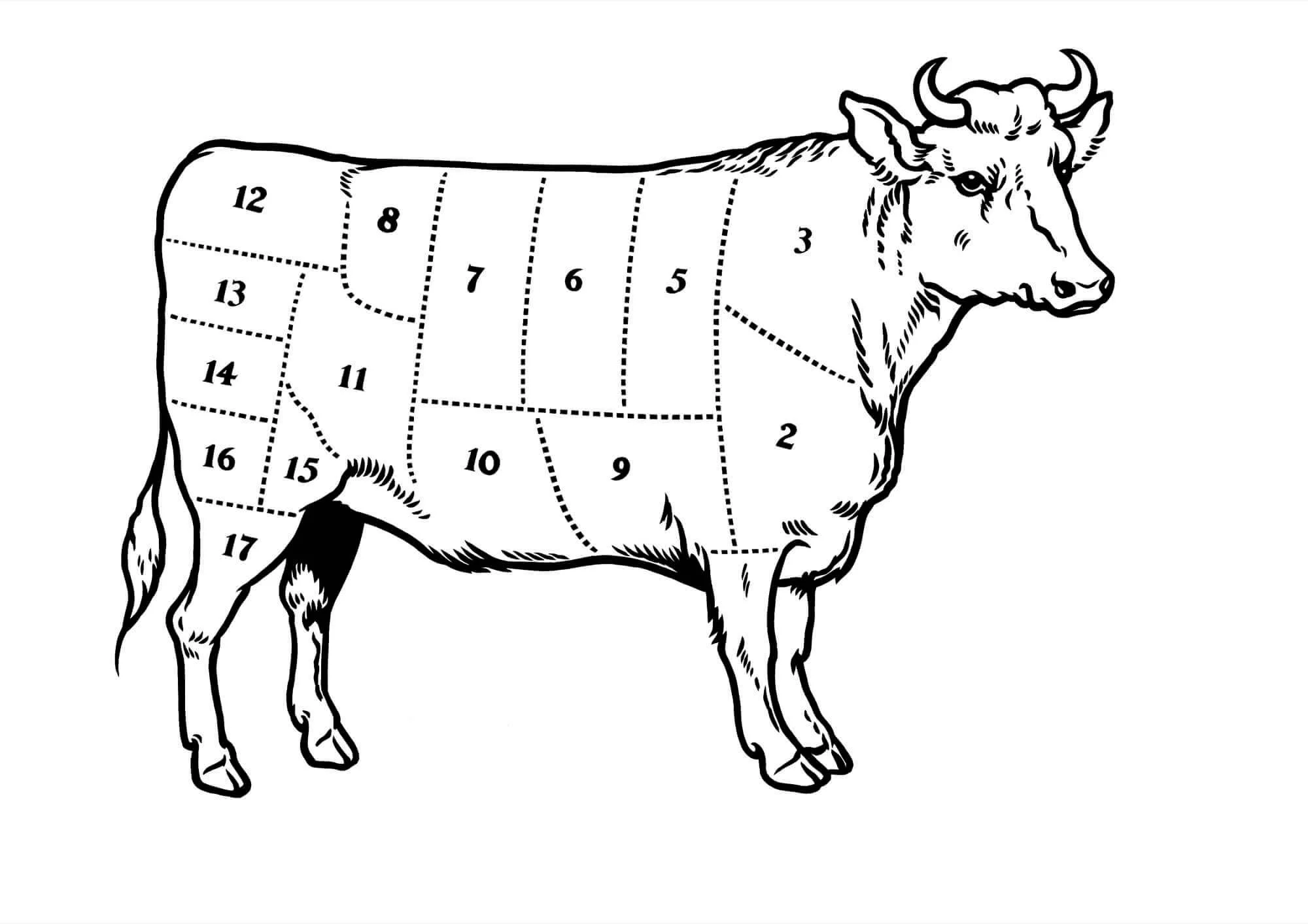 SCRAPERBOARD-Cow-Resized.jpg