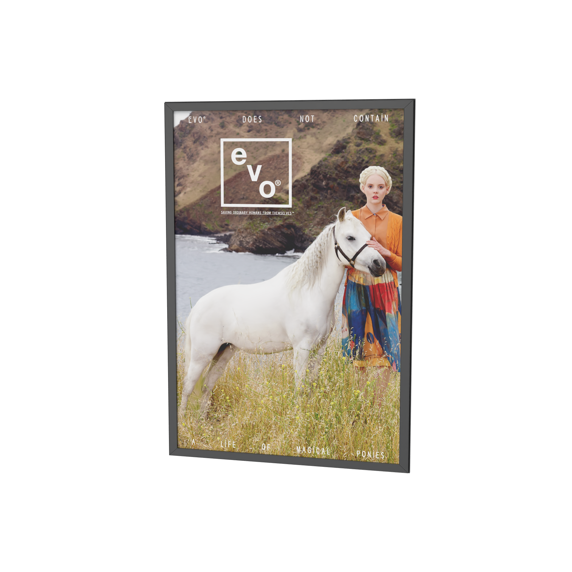 A woman standing beside a white horse in a grassy field near the coast, with rocky hills in the background, on a framed poster.