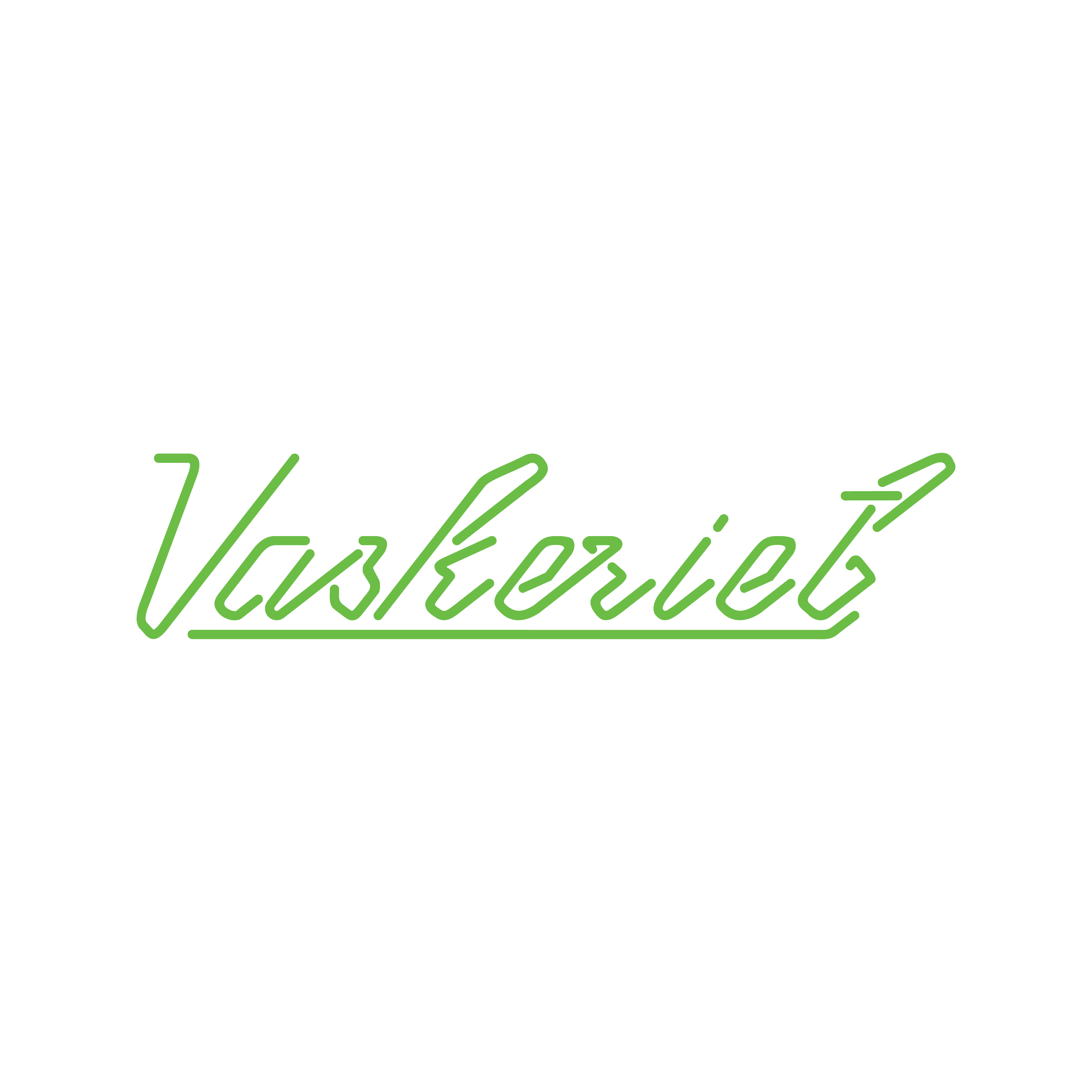Black background with green cursive text that says 'VaxEeriet'.